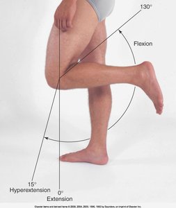 Knee flexion and extension
