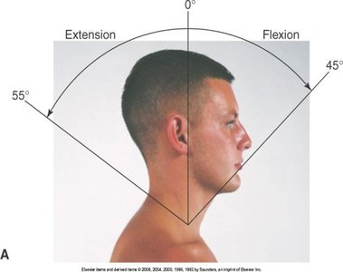 Cervical spine flexion and extension
