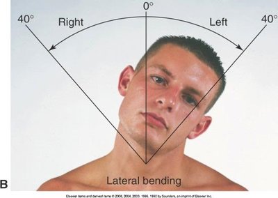 Cervical spine lateral bending