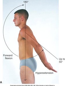 Shoulder forward flexion and hyperextension