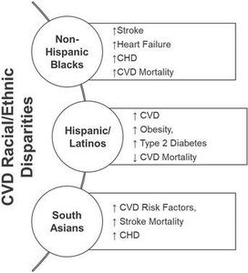 Diagram showing racial/ethnic disparities in cardiovascular disease