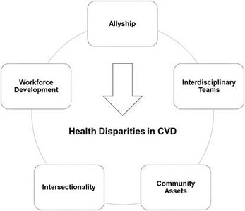 Diagram of strategies to reduce health disparities in cardiovascular disease