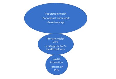 Population Health conceptual framework diagram