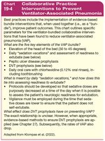 Collaborative Practice Interventions to Prevent Ventilator-Associated Pneumonia