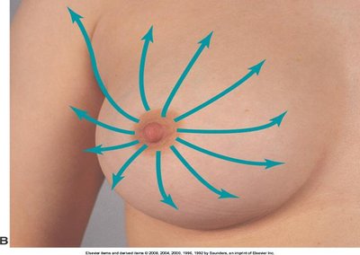 Spokes of wheel pattern for breast palpation