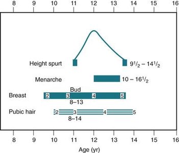 Relationship of puberty events in girls