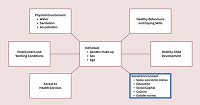 Diagram of determinants of health