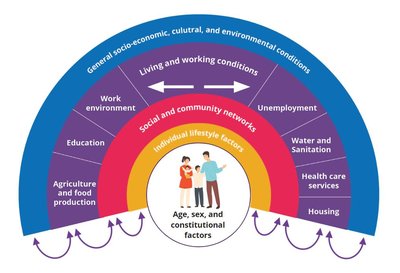 Dahlgren and Whitehead model of health determinants