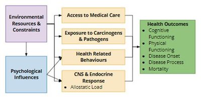 Health outcomes pathway diagram