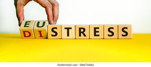 Blocks spelling eustress and distress