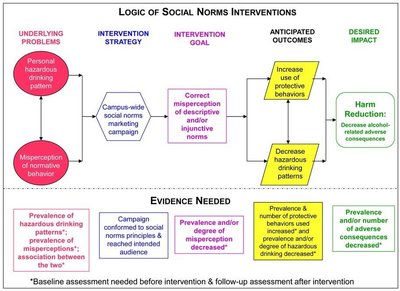 Logic of Social Norms Interventions diagram