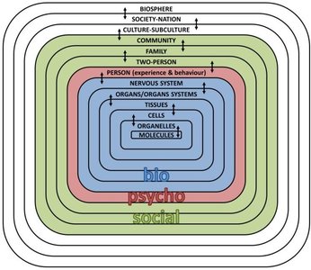 Biopsychosocial model diagram