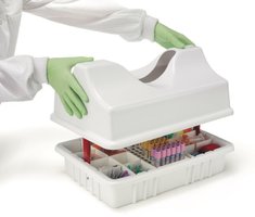 Butterfly needle for venipuncture