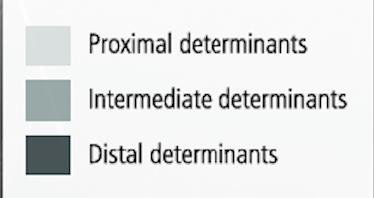 Spider web diagram of determinants of Indigenous health