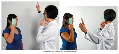 Confrontation test for peripheral vision