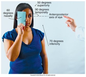Peripheral vision field angles