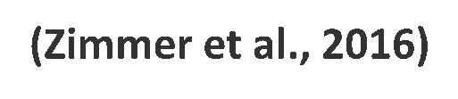 Text: (Zimmer et al., 2016)