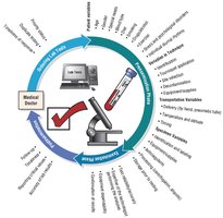 Phases of laboratory testing process