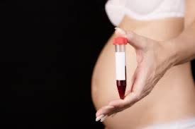 Pregnant woman holding blood sample
