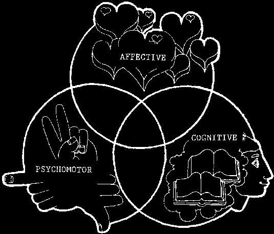 Venn diagram of cognitive, affective, and psychomotor domains