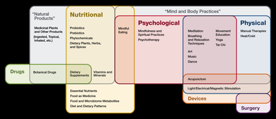 Diagram of complementary health approaches: nutritional, psychological, and physical domains