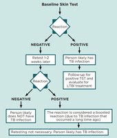 TB skin test interpretation flowchart