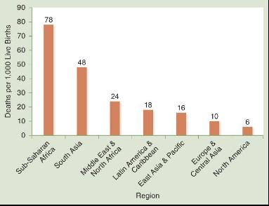 Under-5 mortality rate by region