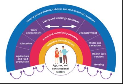 Dahlgren and Whitehead model of health determinants