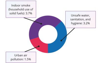 Burden of disease from environmental factors