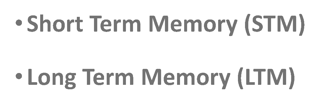 Short Term Memory (STM) and Long Term Memory (LTM) text
