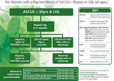 Cervical screening abnormal results flowchart