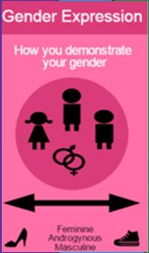 Diagram explaining gender expression