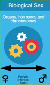 Diagram explaining biological sex