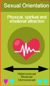 Diagram explaining sexual orientation