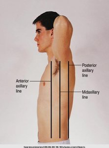 Lateral reference lines on the chest
