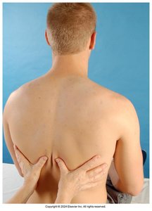 Palpation for tactile fremitus, posterior