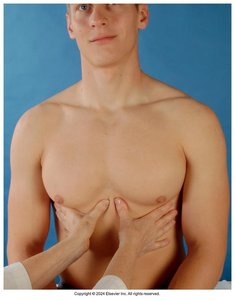 Palpation for tactile fremitus, anterior