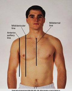 Anterior reference lines on the chest