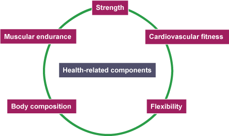 Diagram of health-related components of fitness: strength, muscular endurance, cardiovascular fitness, flexibility, body composition
