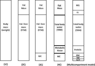 Diagram of body composition models: one-compartment, two-compartment, three-compartment, four-compartment, and multicompartment models