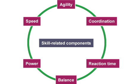 Diagram of skill-related components of fitness: agility, balance, coordination, power, reaction time, speed
