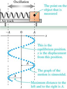 Sinusoidal graph of oscillation about equilibrium