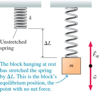 Vertical spring equilibrium