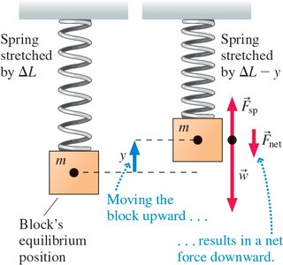 Vertical spring displacement and forces