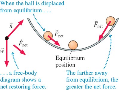 Free-body diagram and restoring force for a ball in a bowl
