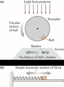 Circular motion and SHM connection