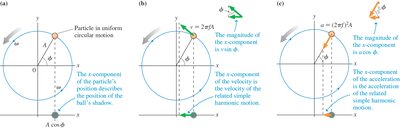 Acceleration in SHM from circular motion