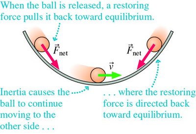 Restoring force and inertia in oscillatory motion
