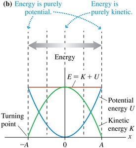 Energy transformation in SHM