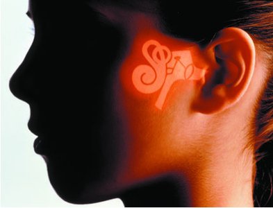 Vibrations in the ear
